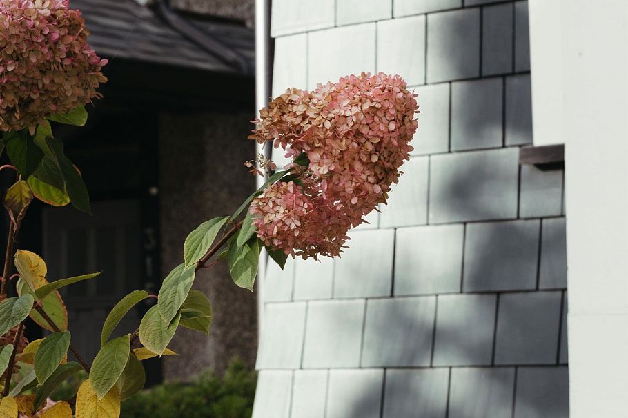 305 W 16th Avenue Vancouver, BC - 5