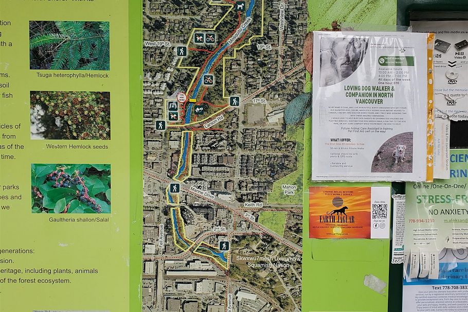 302 827 W 16 Street North Vancouver, BC - 33