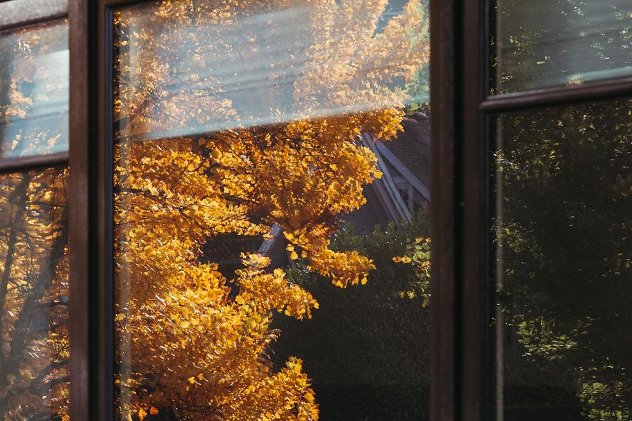 305 W 16th Avenue Vancouver, BC - 6