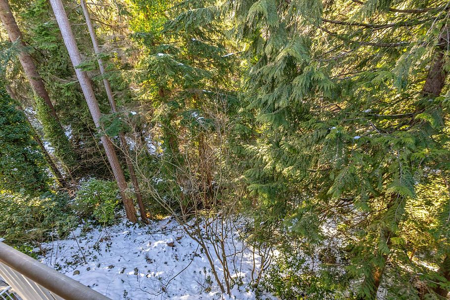 306 3151 Connaught Crescent North Vancouver, BC - 15