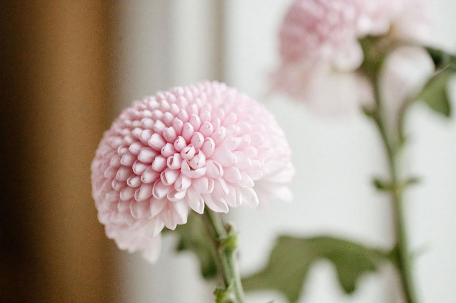 305 W 16th Avenue Vancouver, BC - 15