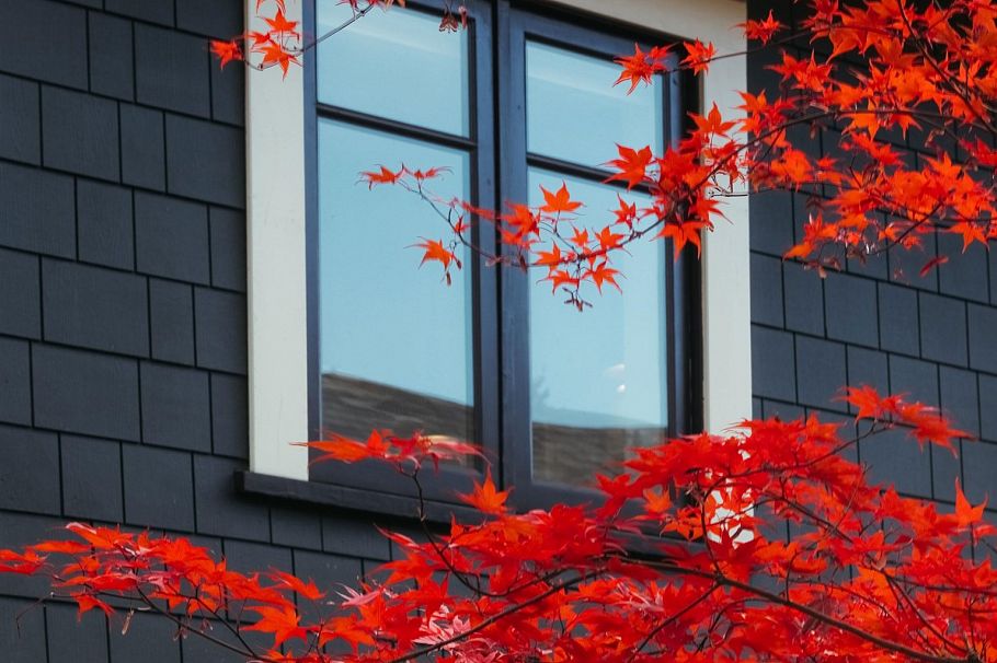 305 W 16th Avenue Vancouver, BC - 3