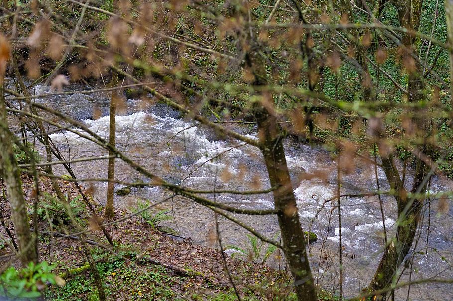 307 1385 Draycott Road North Vancouver, BC - 15