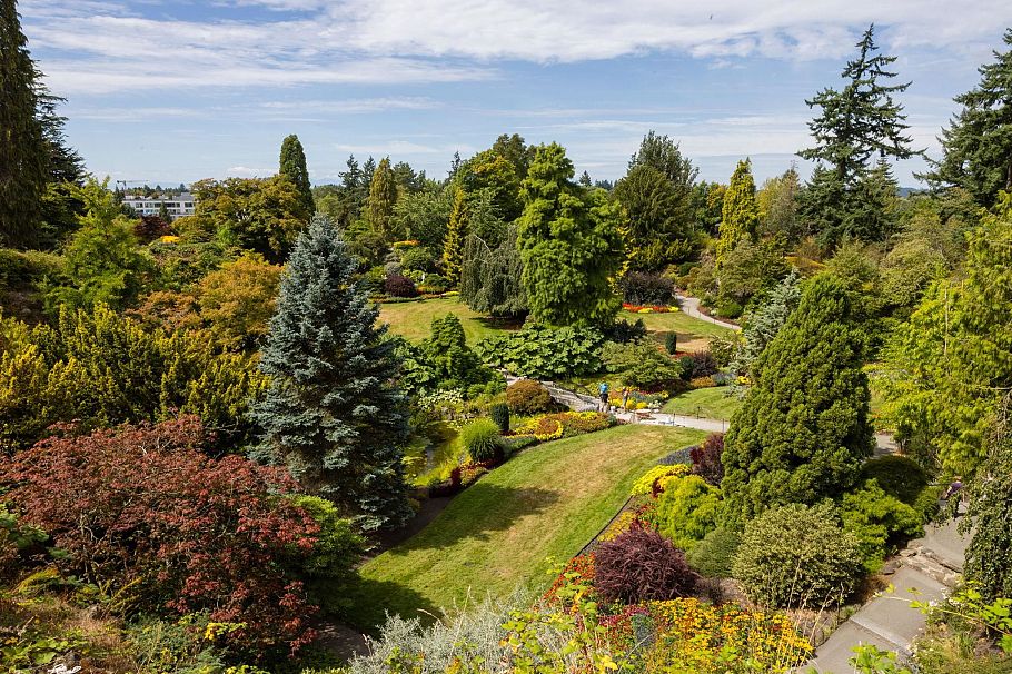 203 4932 Cambie Street Vancouver, BC - 29