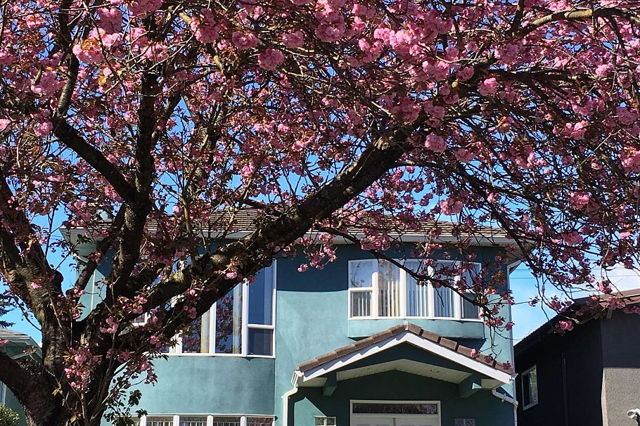 1257 E 60th Avenue Vancouver, BC - 5