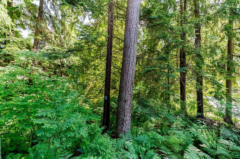 1174 Strathaven Drive North Vancouver, BC - 29