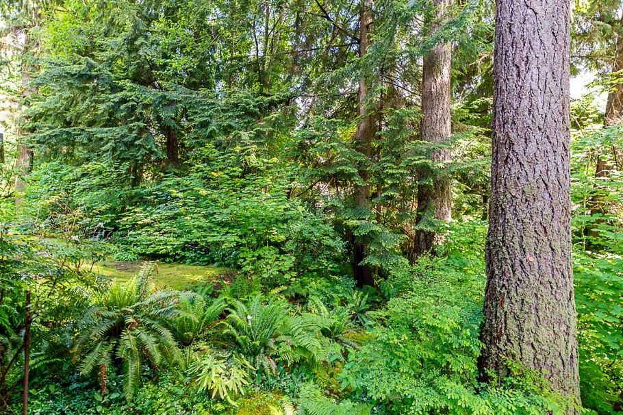 1174 Strathaven Drive North Vancouver, BC - 30