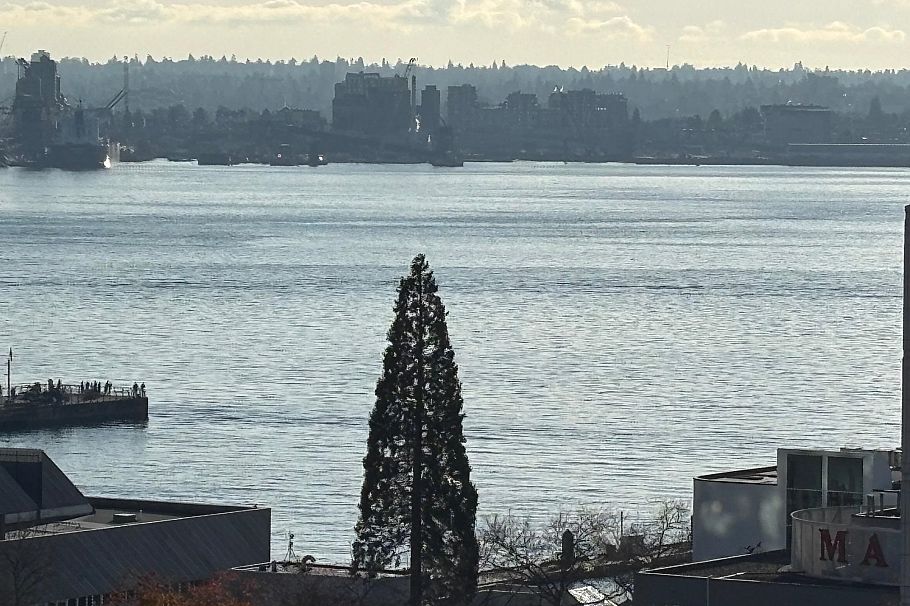 902 175 W 1st Street North Vancouver, BC - 4