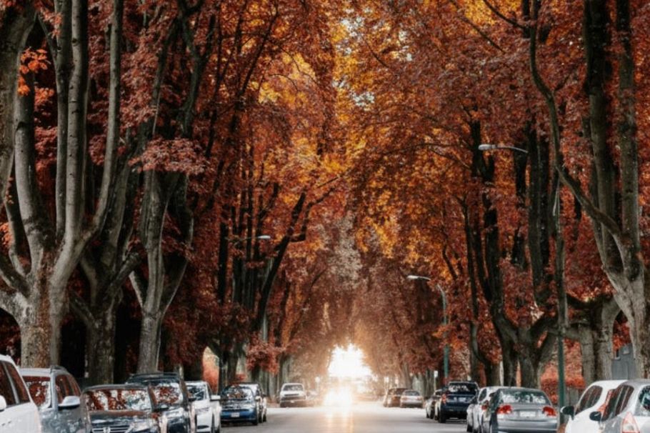 101 3668 W 10th Avenue Vancouver, BC - 39