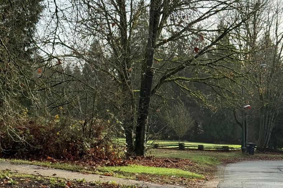 7790 Elliott Street Vancouver, BC - 8