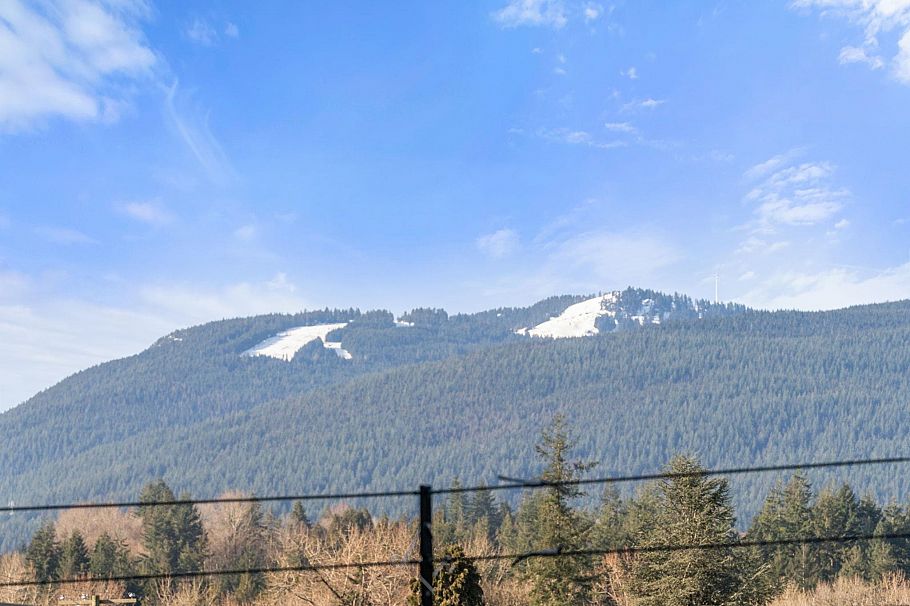 402 1519 Crown Street Vancouver, BC - 28