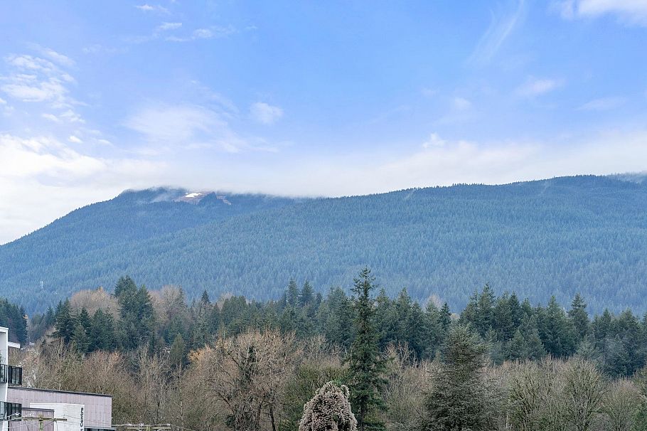 402 1519 Crown Street Vancouver, BC - 25