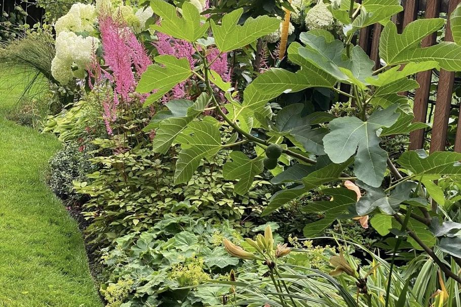 349 E 24th Street North Vancouver, BC - 33