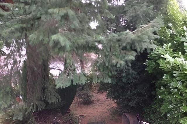 8479 Selkirk Street Vancouver, BC - 3