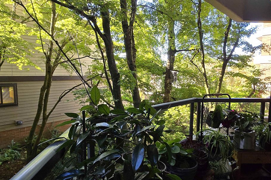 311 3905 Springtree Drive Vancouver, BC - 21