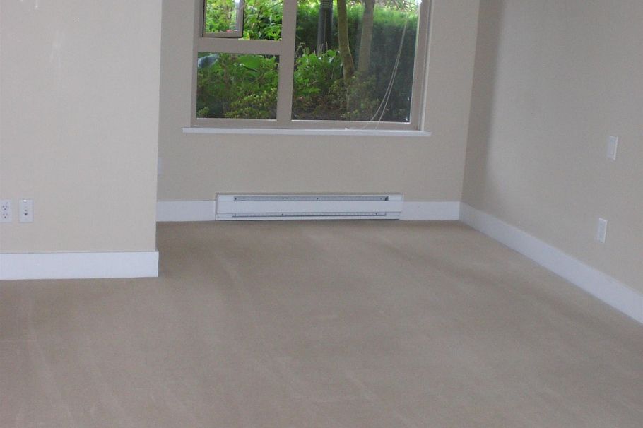 110 2388 WESTERN PARKWAY, Vancouver BC V6T 2K4 Vancouver, BC - 10