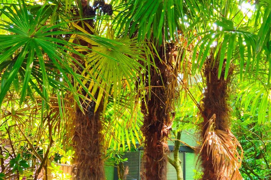 2214 W 14th Avenue Vancouver, BC - 26