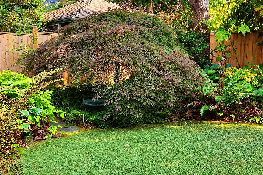 2214 W 14th Avenue Vancouver, BC - 22