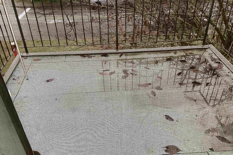 488 E 4th Street North Vancouver, BC - 19