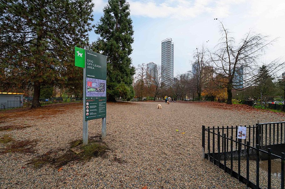 301 1234 Pendrell Street Vancouver, BC - 33