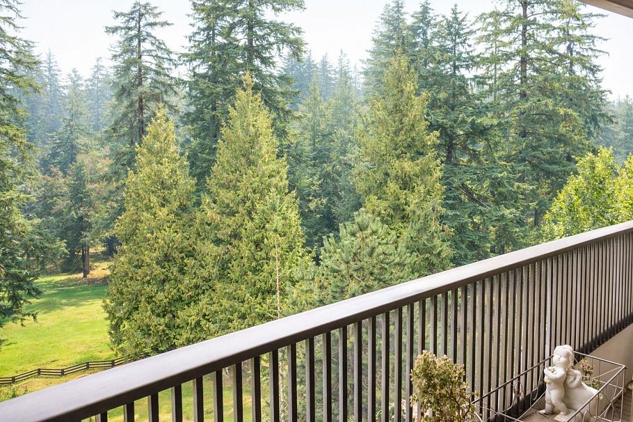 808 4194 Maywood Street Burnaby, BC - 12