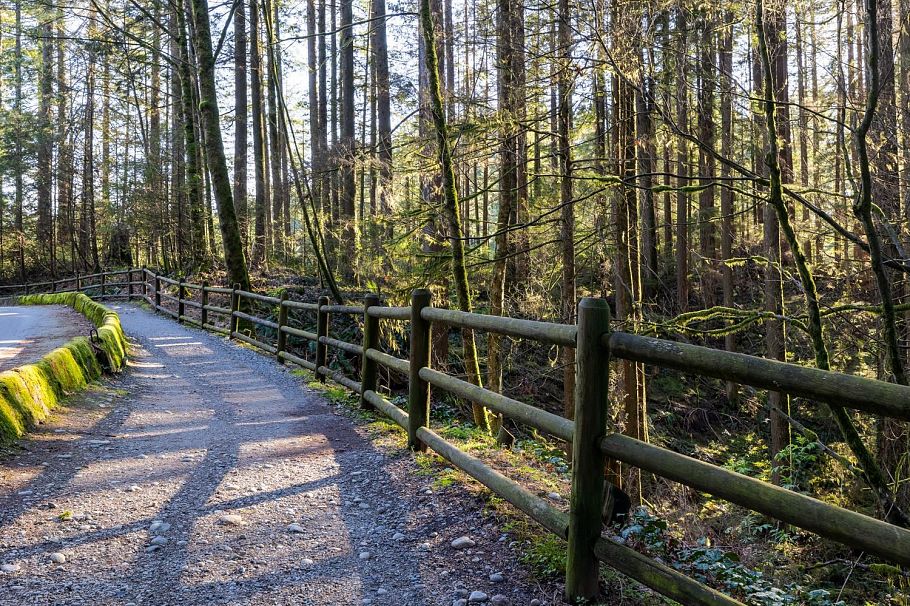 3680 Edgemont Boulevard North Vancouver, BC - 36