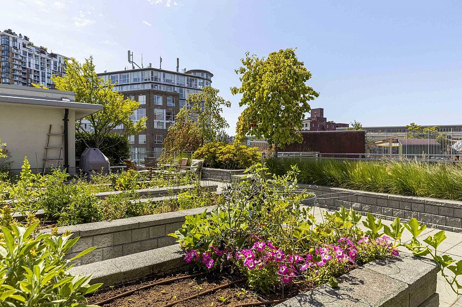 507 2321 Scotia Street Vancouver, BC - 26