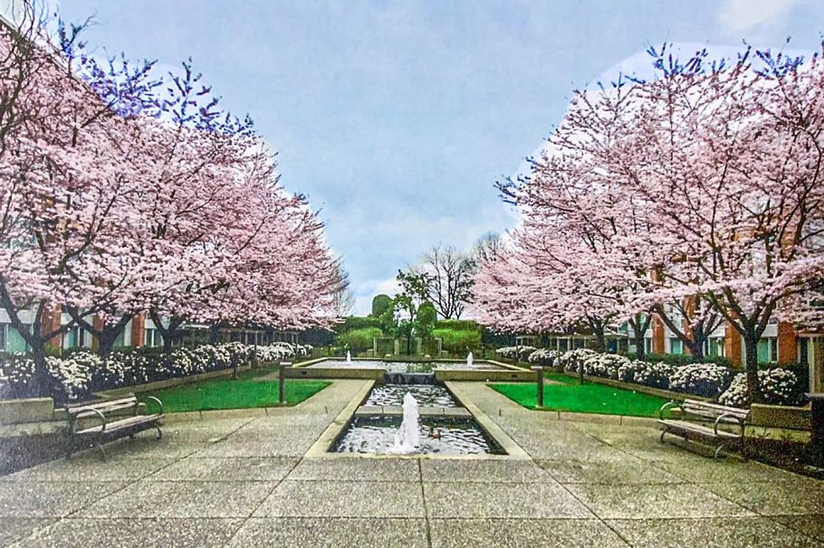 412 618 W 45th Avenue Vancouver, BC - 1