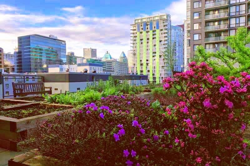 1809 1082 Seymour Street Vancouver, BC - 16