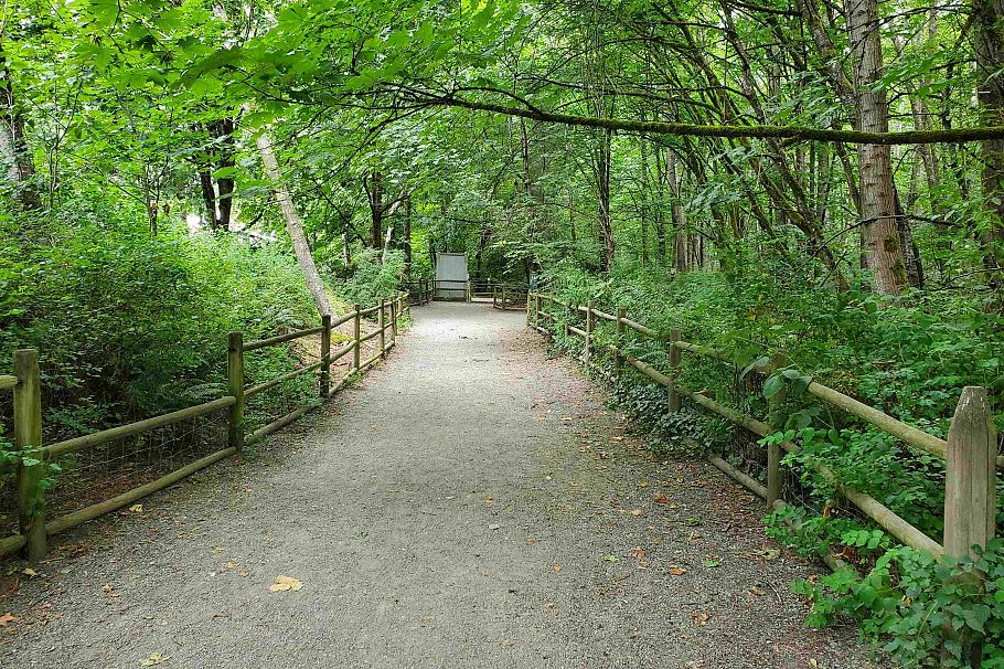 302 827 W 16 Street North Vancouver, BC - 29