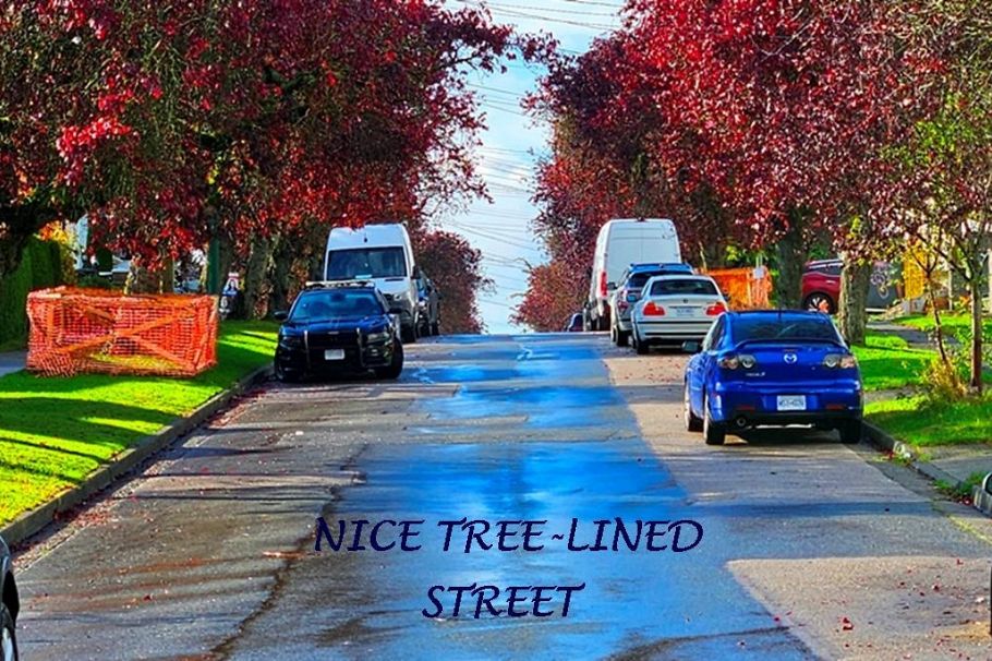 1072 E 55th Avenue Vancouver, BC - 23