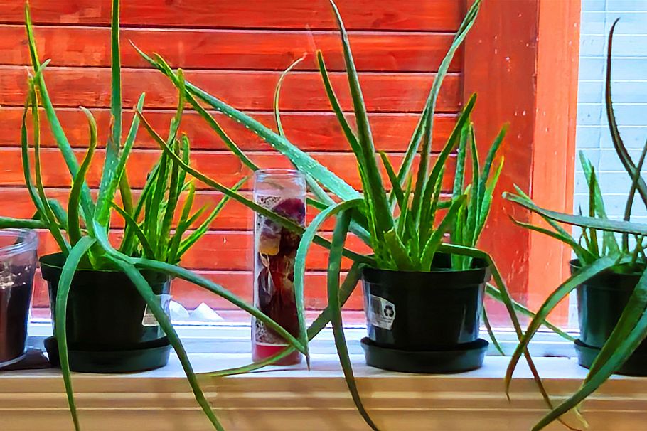 1072 E 55th Avenue Vancouver, BC - 11