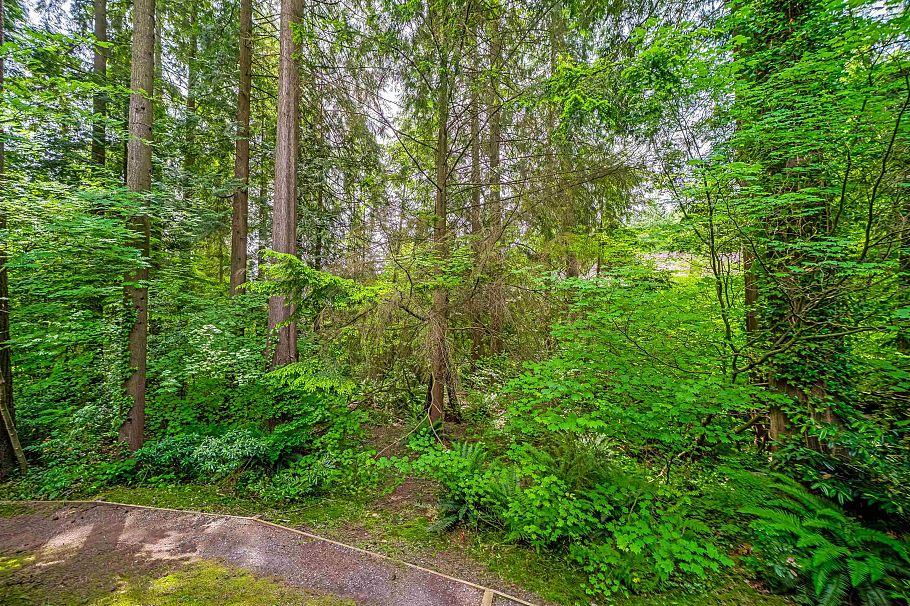 867 Frederick Road North Vancouver, BC - 39