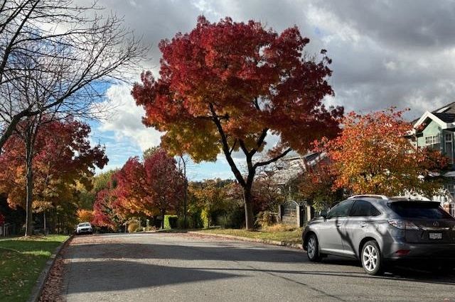 5406 Ross Street Vancouver, BC - 37