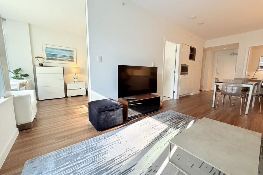 313 1661 Quebec Street Vancouver, BC - 2