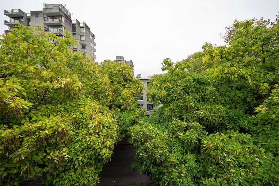 402 1718 Nelson Street Vancouver, BC - 21