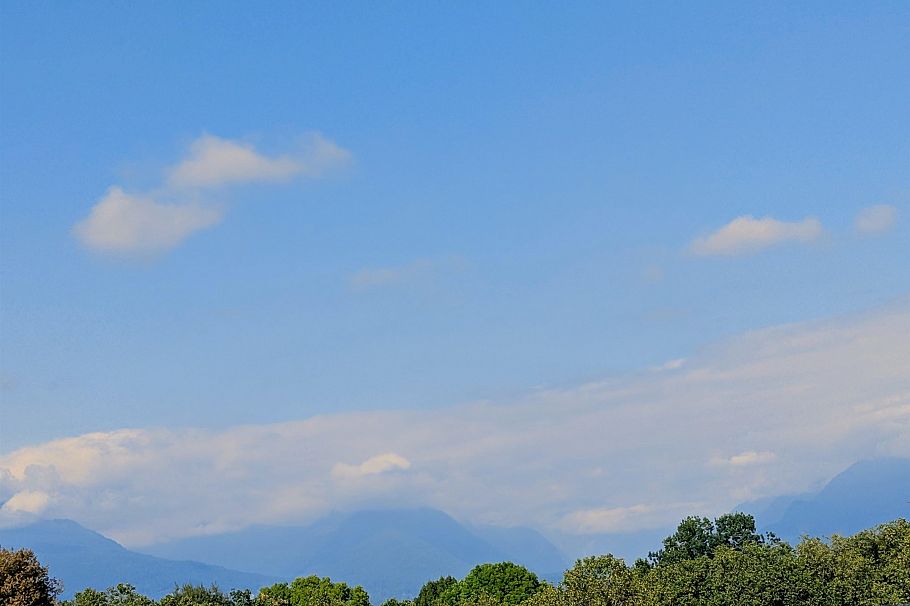 205 2239 Kingsway Vancouver, BC - 21