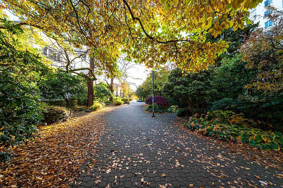 2004 1251 Cardero Street Vancouver, BC - 36