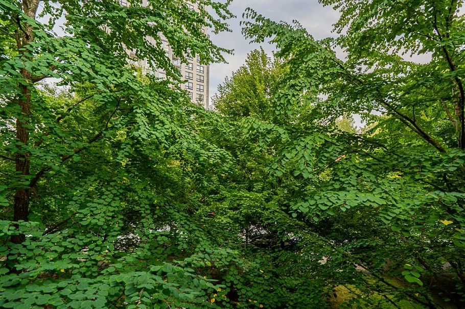 309 5380 Oben Street Vancouver, BC - 30