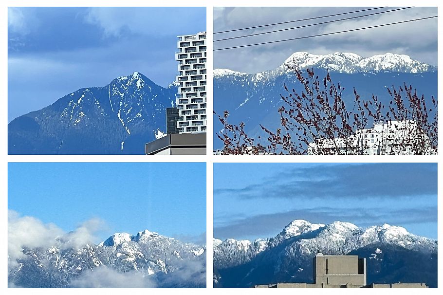 2006 1850 Comox Street Vancouver, BC - 17