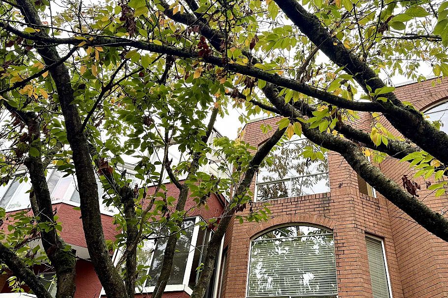 403 1010 Chilco Street Vancouver, BC - 2