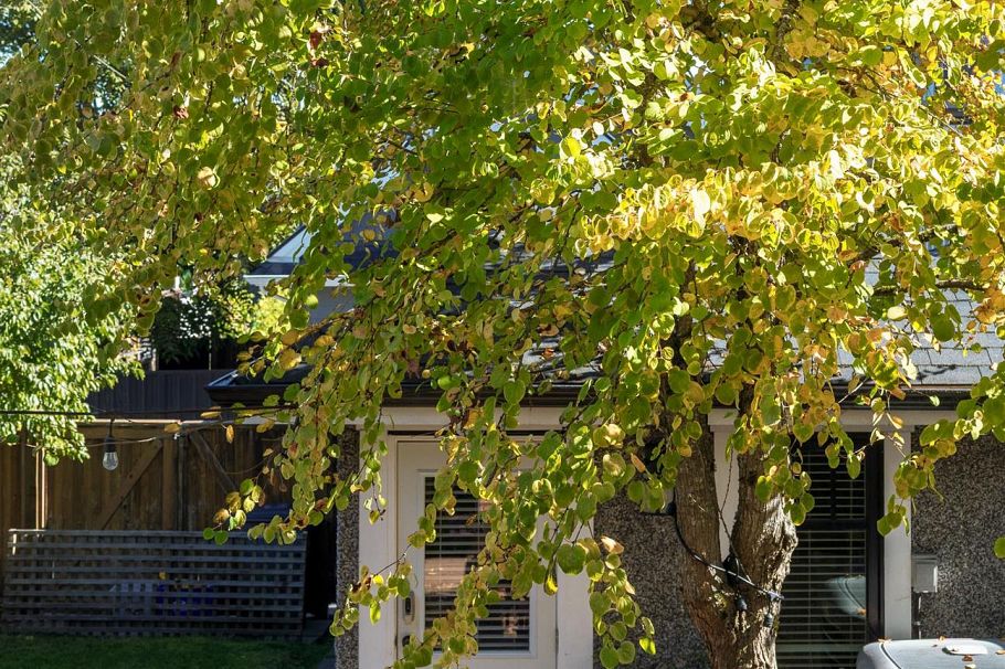 4804 Elgin Street Vancouver, BC - 37