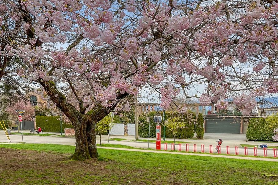 3274 W 1st Avenue Vancouver, BC - 32