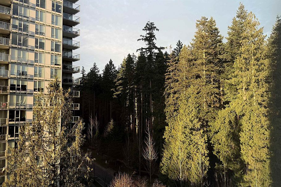 1004 5629 Birney Avenue West Vancouver, BC - 6