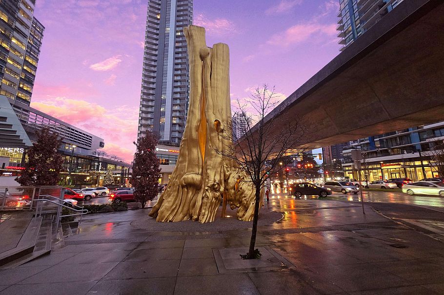 901 8131 Nunavut Lane Vancouver, BC - 1