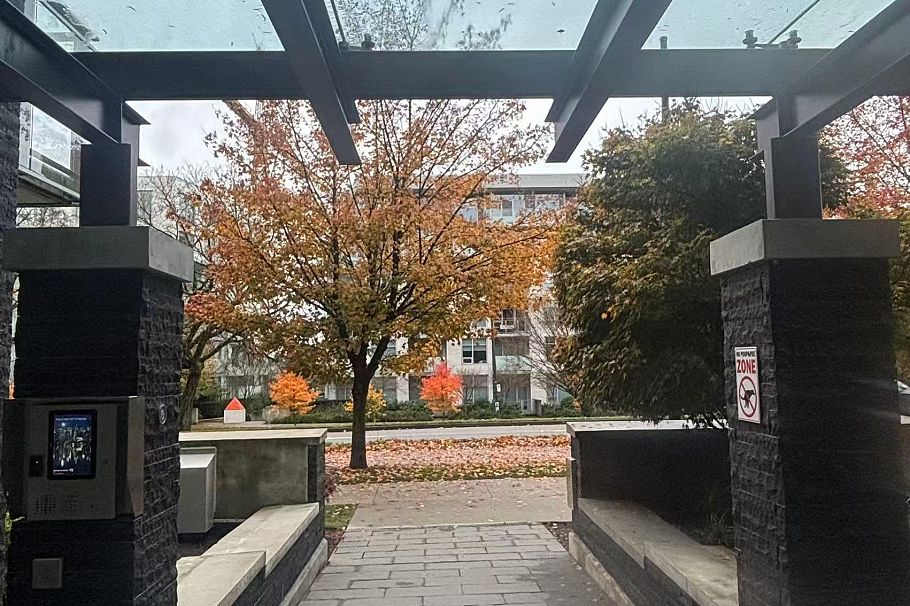 409 5058 Cambie Street Vancouver, BC - 3