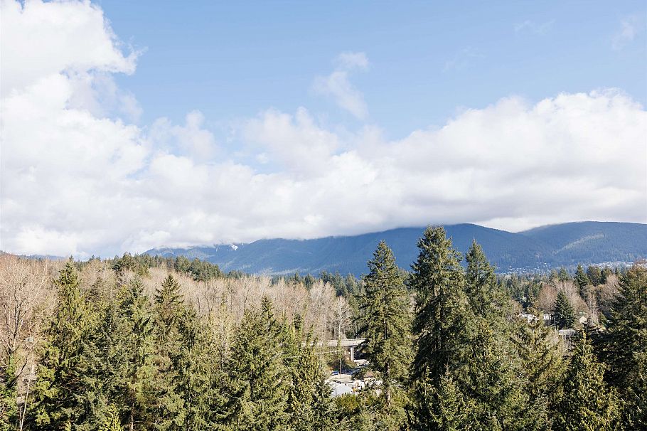 1001 2012 Fullerton Avenue North Vancouver, BC - 3