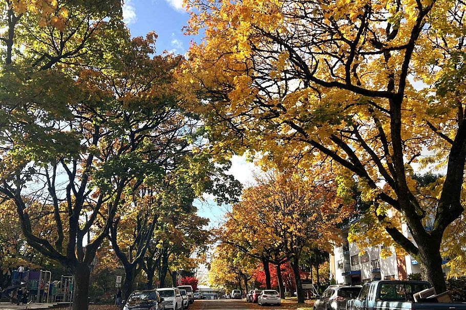 104 8775 Cartier Street Vancouver, BC - 35