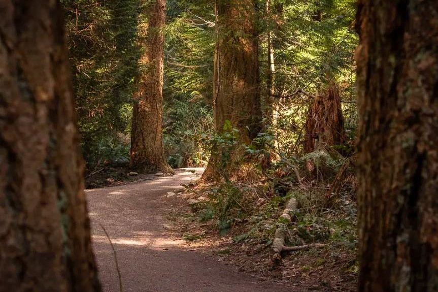 301 5775 Hampton Place Vancouver, BC - 39