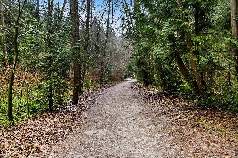 708 5380 Crooked Branch Road Vancouver, BC - 38